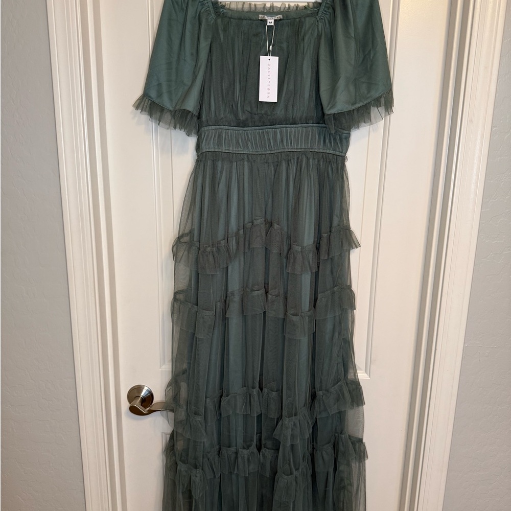 Baltic Born Sage Green Sheer Maxi Dress medium NWT